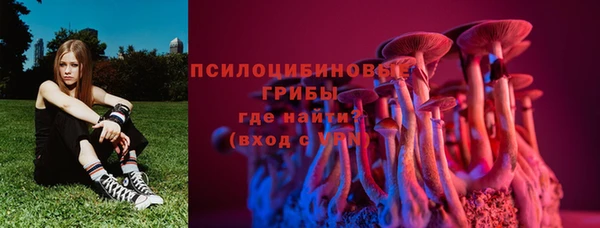 2c-b Осинники