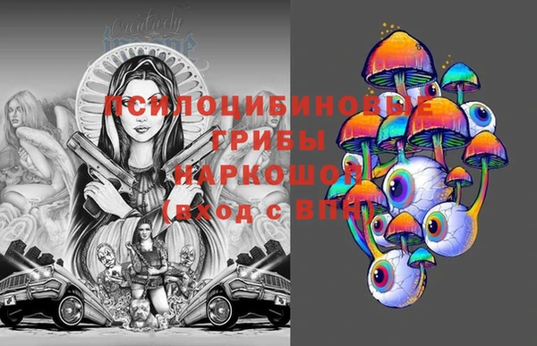 2c-b Осинники