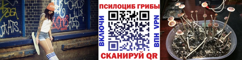 даркнет как зайти  Феодосия  Галлюциногенные грибы прущие грибы 
