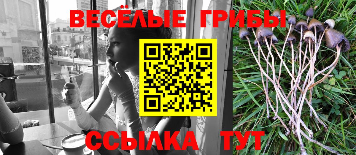Псилоцибиновые грибы прущие грибы Феодосия